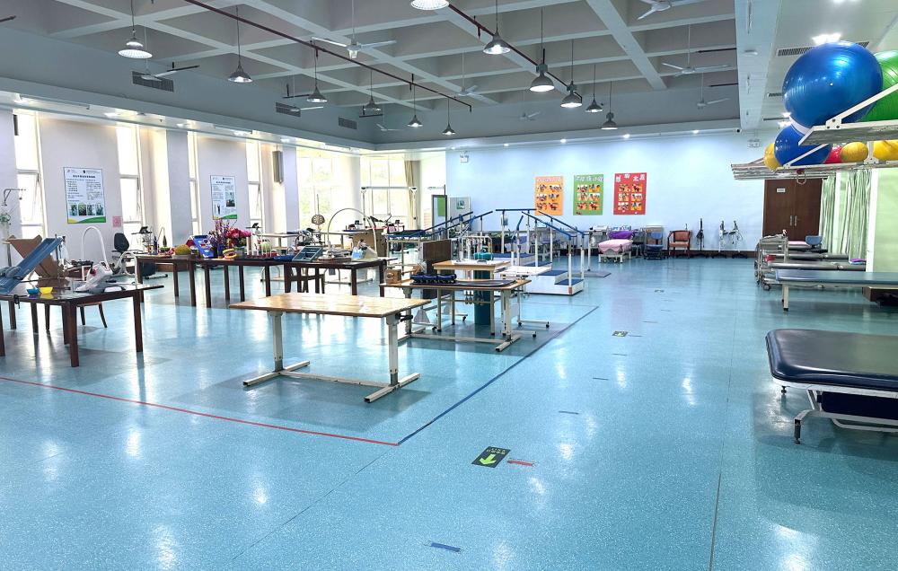 Rehabilitation Exercise