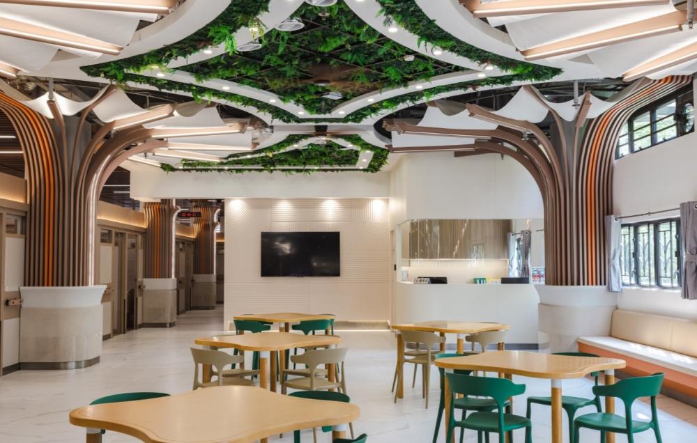 Activity Area /Living Room / Dining Room