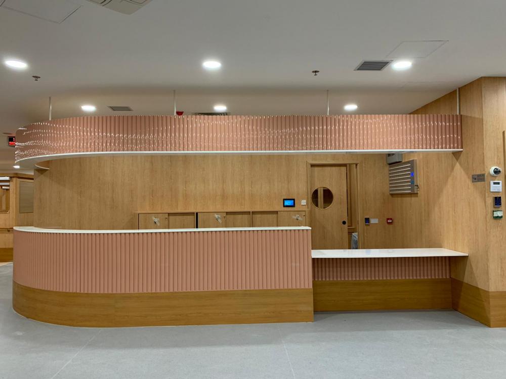 Activity Area /Living Room / Dining Room