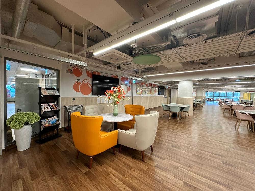 Activity Area /Living Room / Dining Room